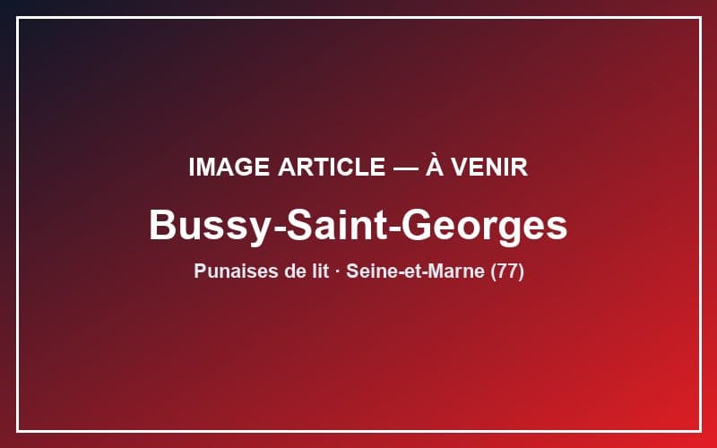 Punaises de lit à Bussy-Saint-Georges : que faire en cas d'infestation ?